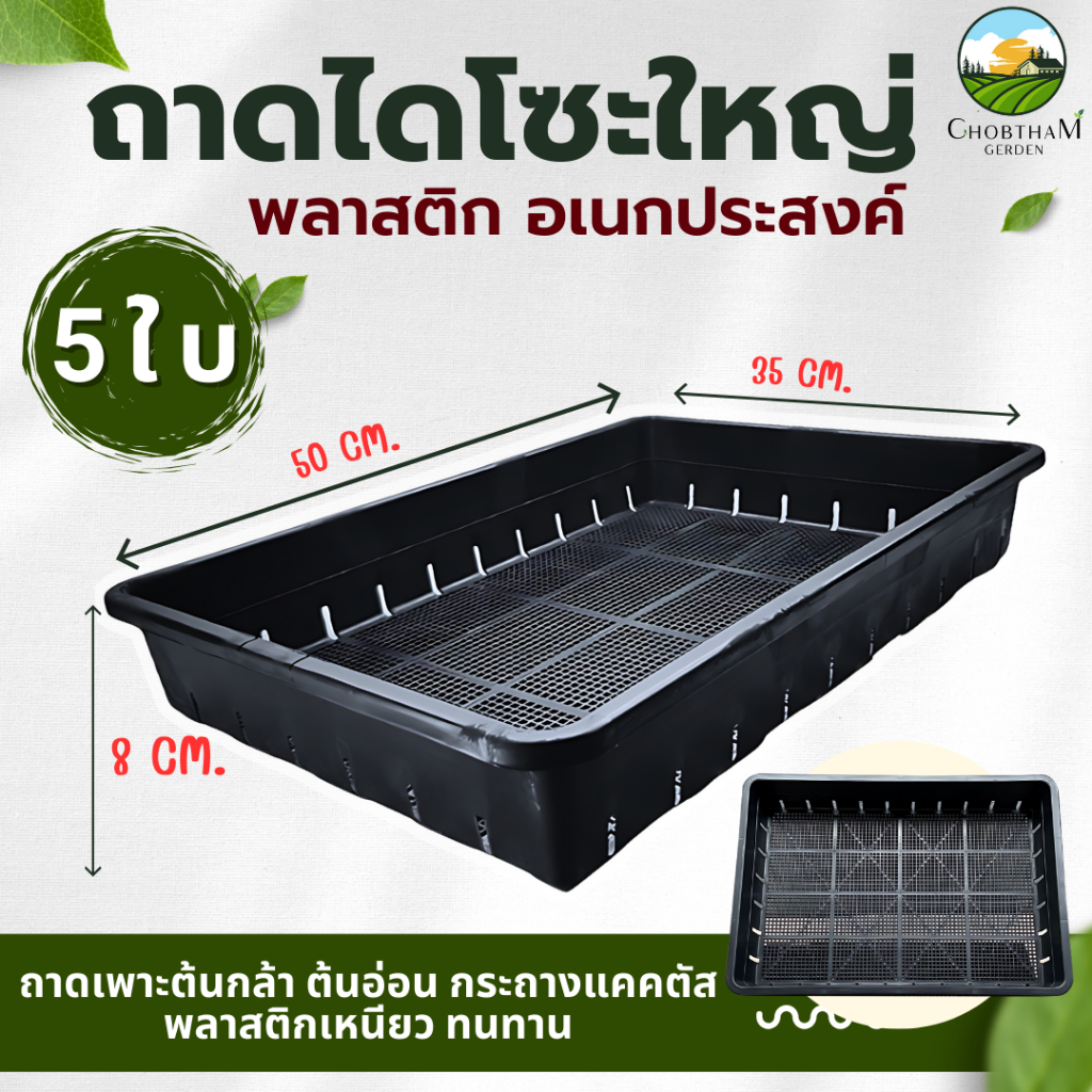 ถาดไดโซะใหญ่ ถาดเพาะต้นกล้า ต้นอ่อน  กระถางแคคตัส ปลูกแคคตัส (แบบโปร่ง)