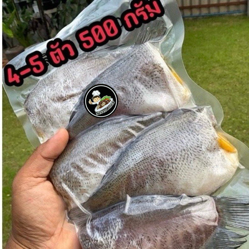 ปลาสลิดแดดเดียว ปลาสลิดบางบ่อ ทำสดใหม่สะอาด