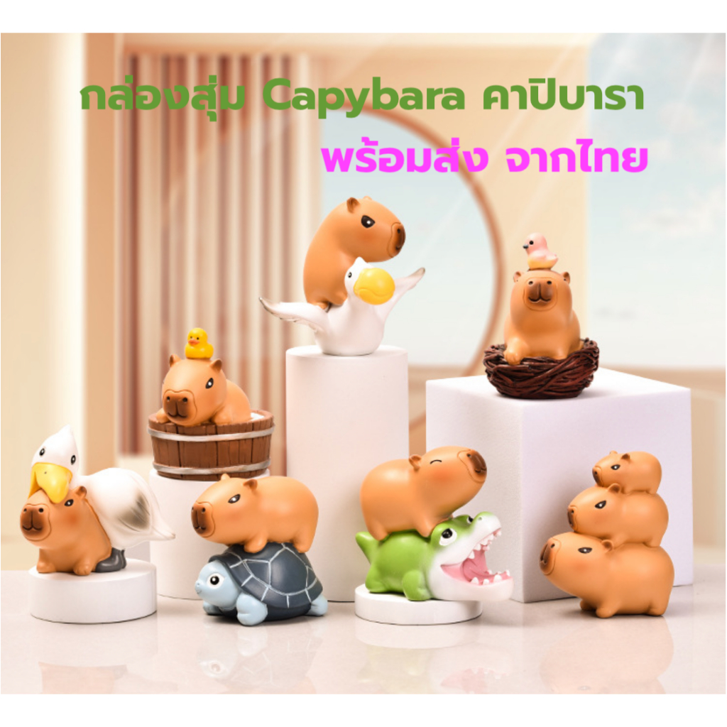 กล่องสุ่ม คาปิบาร่า พร้อมส่ง ส่งจากไทย คาปิบารา capybara