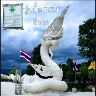 ปูนปั้น PSM (บรรจุ1กก) ผสมน้ำเปล่าใช้ได้เลย ใช้สำหรับงานปั้น ทำบล็อก กดพิมพ์ เนื้อละเอียด แข็งแรง ทนแดด ทนฝน แช่น้ำได้
