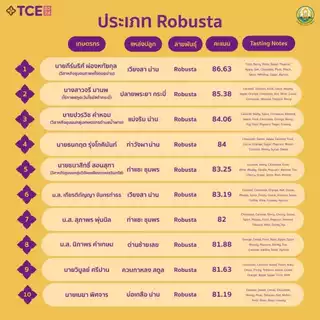 เมล็ดกาแฟ Fine Robusta Nan Winner Fram Rank 1 TCE 2024 / 86.63 คะแนน Yeast+SCM+Cold ferment Process
