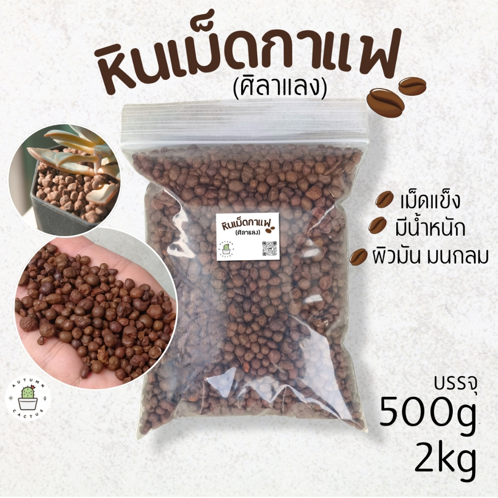 🟤🌑 หินโรยหน้า หินกระบองเพชร หินเมล็ดกาแฟ หินศิลาแลง บรรจุ 500กรัม 🌑🟤