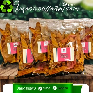 ใบหูกวางออแกนิค ไร้ก้าน #Terminalia Catappa# Malabar leaves #สะอาดปลอดภัยผ่านการฆ่าเขื้อใช้งานง่าย จำนวน1ถุง