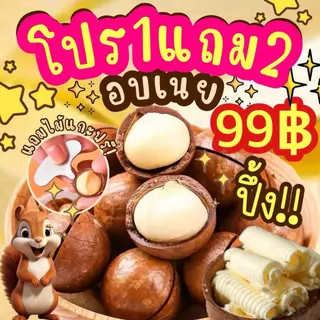 1แถม2 ได้3ถุง แมคคาเดเมีย มีให้เลือก2ไซต์ เม็ดใหญ่ เปลืองบาง เนื้อเยอะ ตุ๊กกี้ตัวแสบ