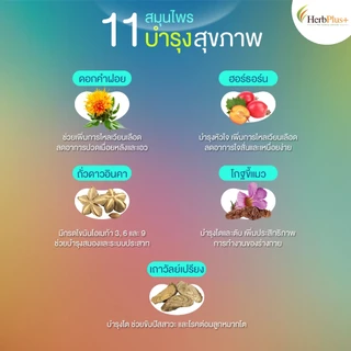 Life Origin ดูแลไตเพิ่มหลังไต บำรุงแหล่งพลังงานของร่างกาย