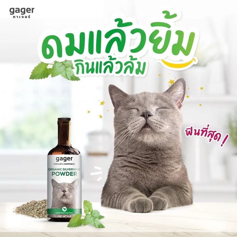 🔥ถูกที่สุด พร้อมส่ง🔥Gager กัญชาแมว พลังช้าง ไม้มาทาทาบิ ออร์แกนิค ทำให้แมวฟินที่สุด 8g. ของแท้💯%