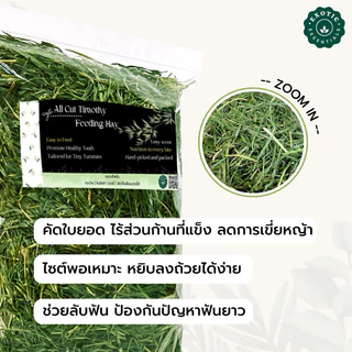 Exotic Essentials 🌿All Cut Timothy Hay หญ้าทิมโมธี สำหรับกระต่าย ชินชิลล่า แกสบี้ แพรรีด็อก