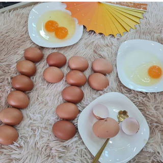 เปลือกหอยบดละเอียด เกรดอาหารสัตว์