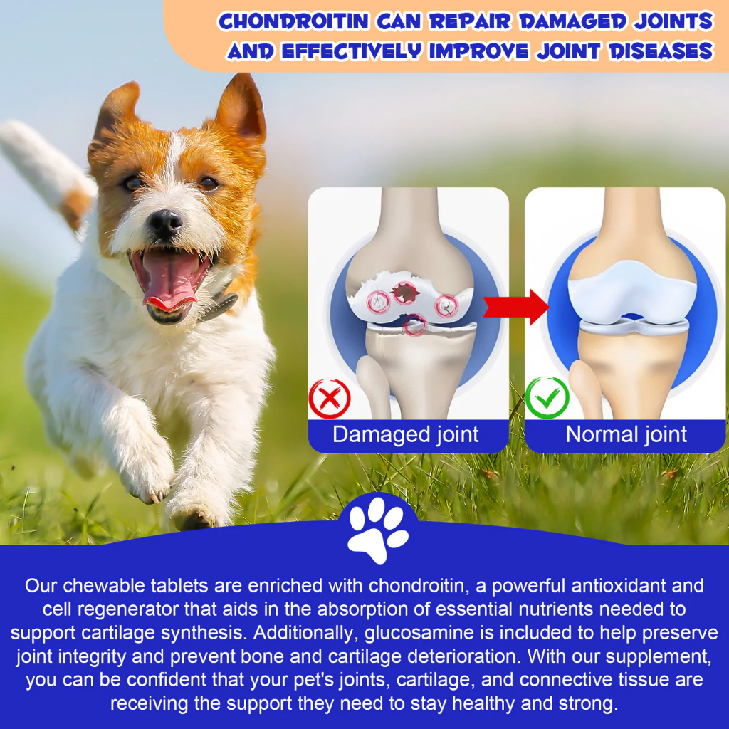 วิตามินสุนัข Oimmal Hip&Joint บำรุงข้อ บำรุงกระดูกสุนัข บำรุงข้อสุนัข บำรุงข้อต่อและสะโพกสุนัข