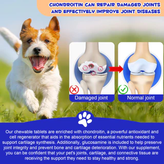 วิตามินสุนัข Oimmal Hip&Joint บำรุงข้อ บำรุงกระดูกสุนัข บำรุงข้อสุนัข บรรเทาปวด ลดอักเสบ