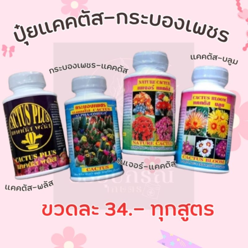 ปุ๋ยน้ำแคคตัส 4 สูตร ปุ๋ยกระบองเพชร บำรุงต้น บำรุงดอก บำรุงราก-หนาม ขนาด 250cc.