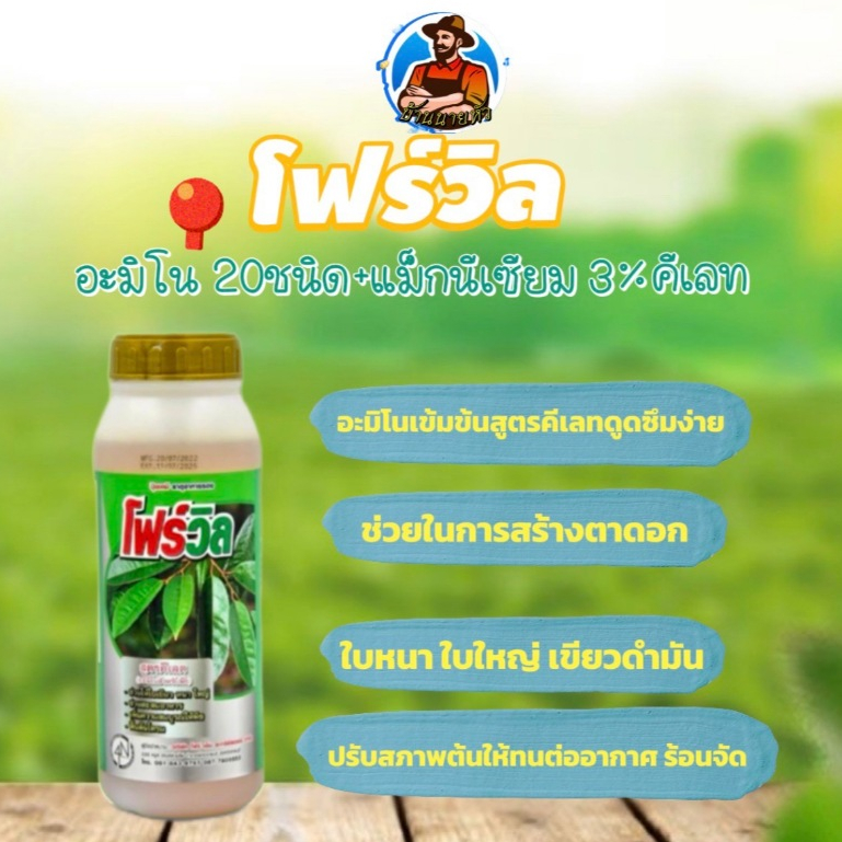 1 ลิตร โฟร์วิล อะมิโนเข้มข้น 30% 20 ชนิด+แม็กนีเซียม 3% EDTA เร่งการเจริญเติบโตในทุกระยะของพืชผล