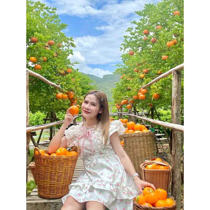 Croissant Dress ยาว 33นิ้ว