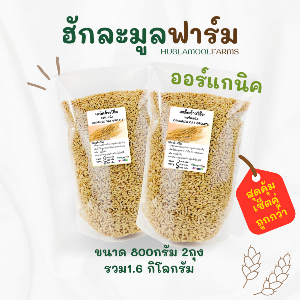 ข้าวโอ๊ต ออร์แกนิค ขนาด1.6กิโลกรัม ตราฮักละมูลฟาร์ม แบบหุง เกรดสำหรับคนทาน Organic Oat Groats