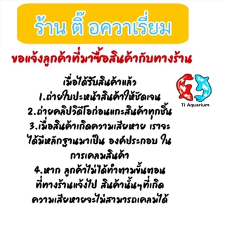 อาหารปลา King Fish Mini-Tropical Fish 60 g. เร่งสี เร่งโต ไม่ทำให้น้ำขุ่น