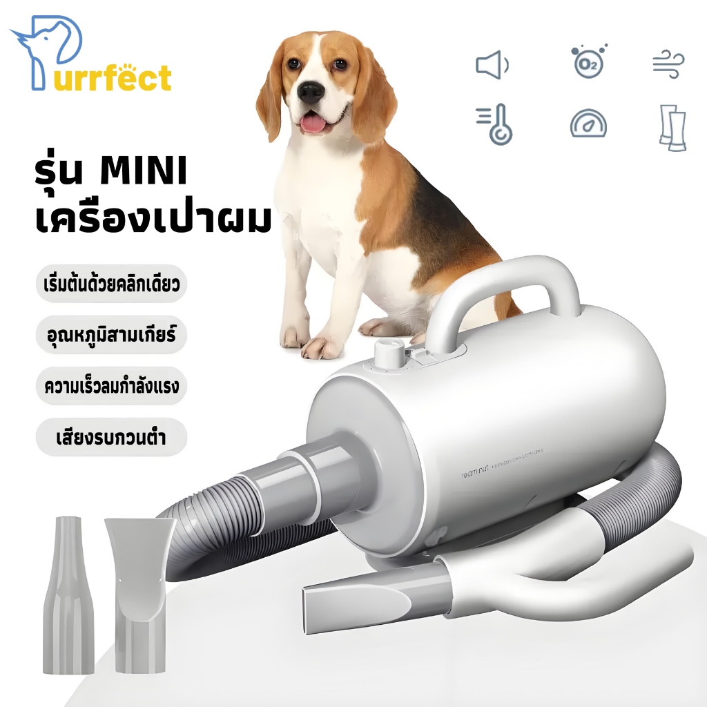 ผมปกป้องพลาสม่าพร้อมป้องกันการลวกสามระดับไดร์เป่าขนสุนัข ไดร์เป่าขนสุนัข ไดร์เป่าขนแมว ไดร์เป่าขนกันน้ำ Chaolun 2000w