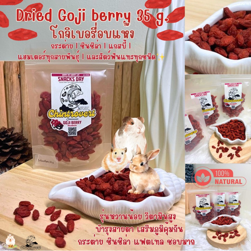 Chintrovert ✨|| โกจิเบอรี่รี่ Gojiberries 35g || ขนมกระต่าย || ขนมสัตว์ฟันแทะทุกชนิด✨