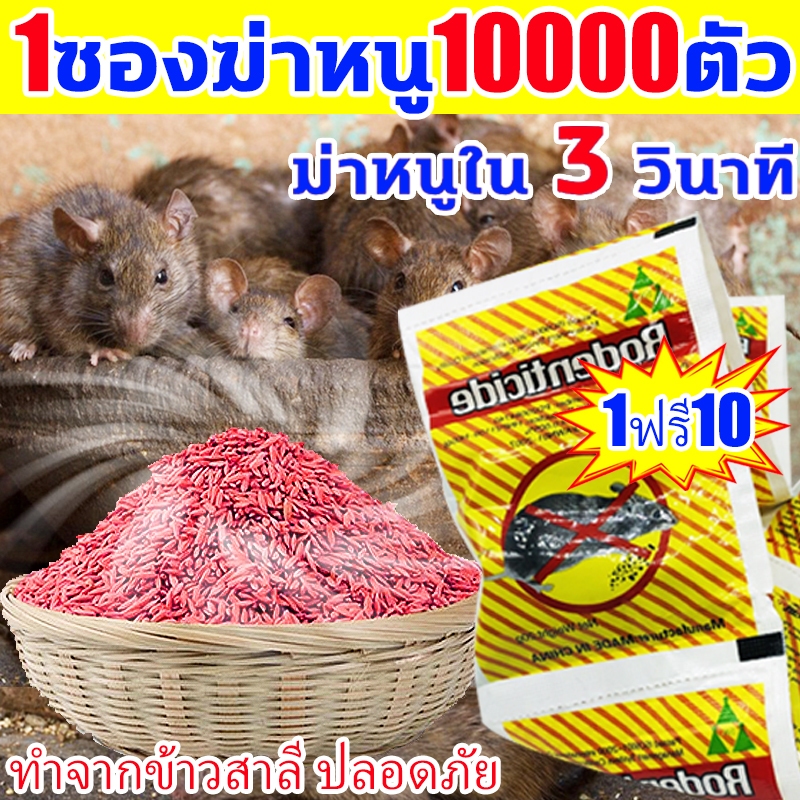 1คืนฆ่าหนู1000ตัว ยาเบื่อหนู500g ของแท้ 100%กินให้ตายเถอะยากำจัดหนู เหยื่อกำจัดหนู ไล่หนู ยาเบื่อหนูแห้ง
