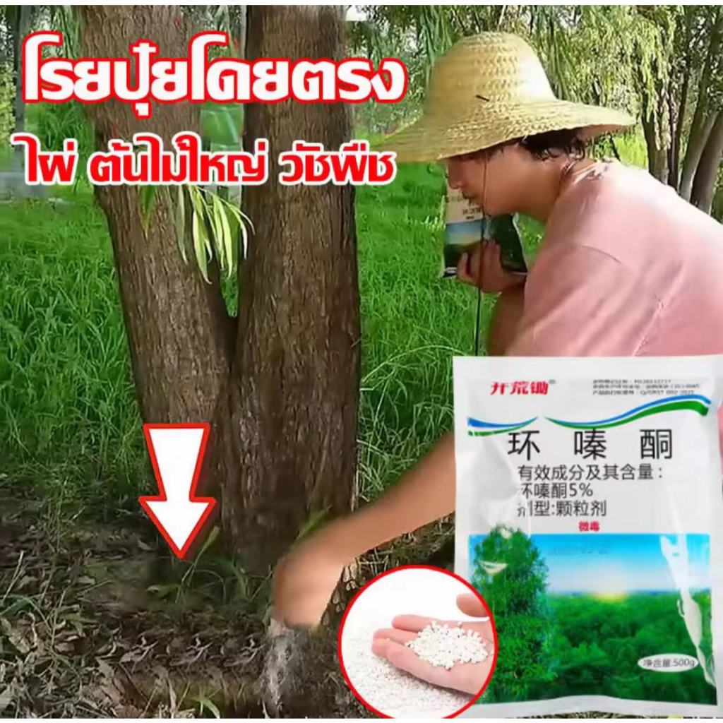 รากไม้เน่ายาฆ่าต้นไม้ใหญ สร้างมาเพื่อฤดูฝน ยาฆ่าตอต้นไม้ แค่โรยเพียงเล็กน้อย กำจัดวัชพืชเปิดที่รกราง 500g