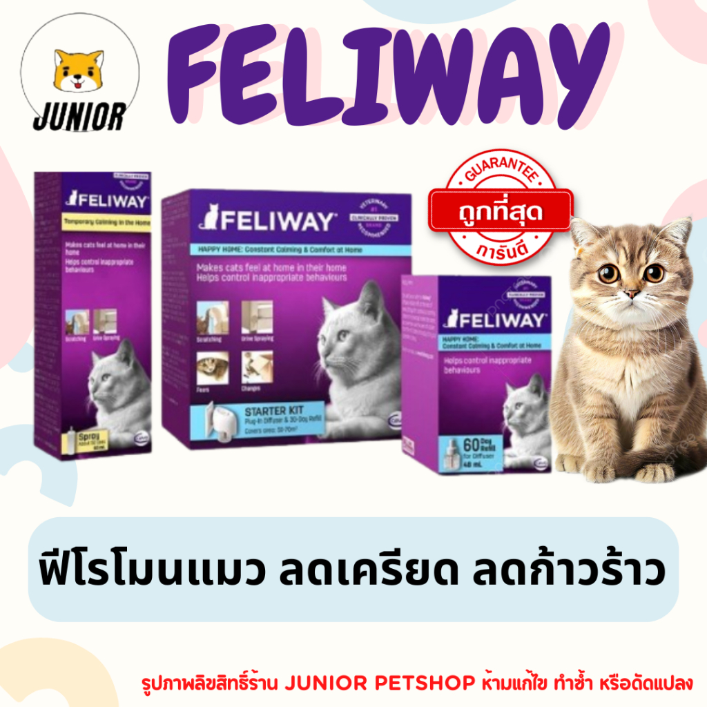 Feliway ฟิโรโมนแมว ช่วยให้น้องแมวคลายเครียด ผ่อนคลาย ลดก้าวร้าว มีความสุข มี3แบบให้เลือก