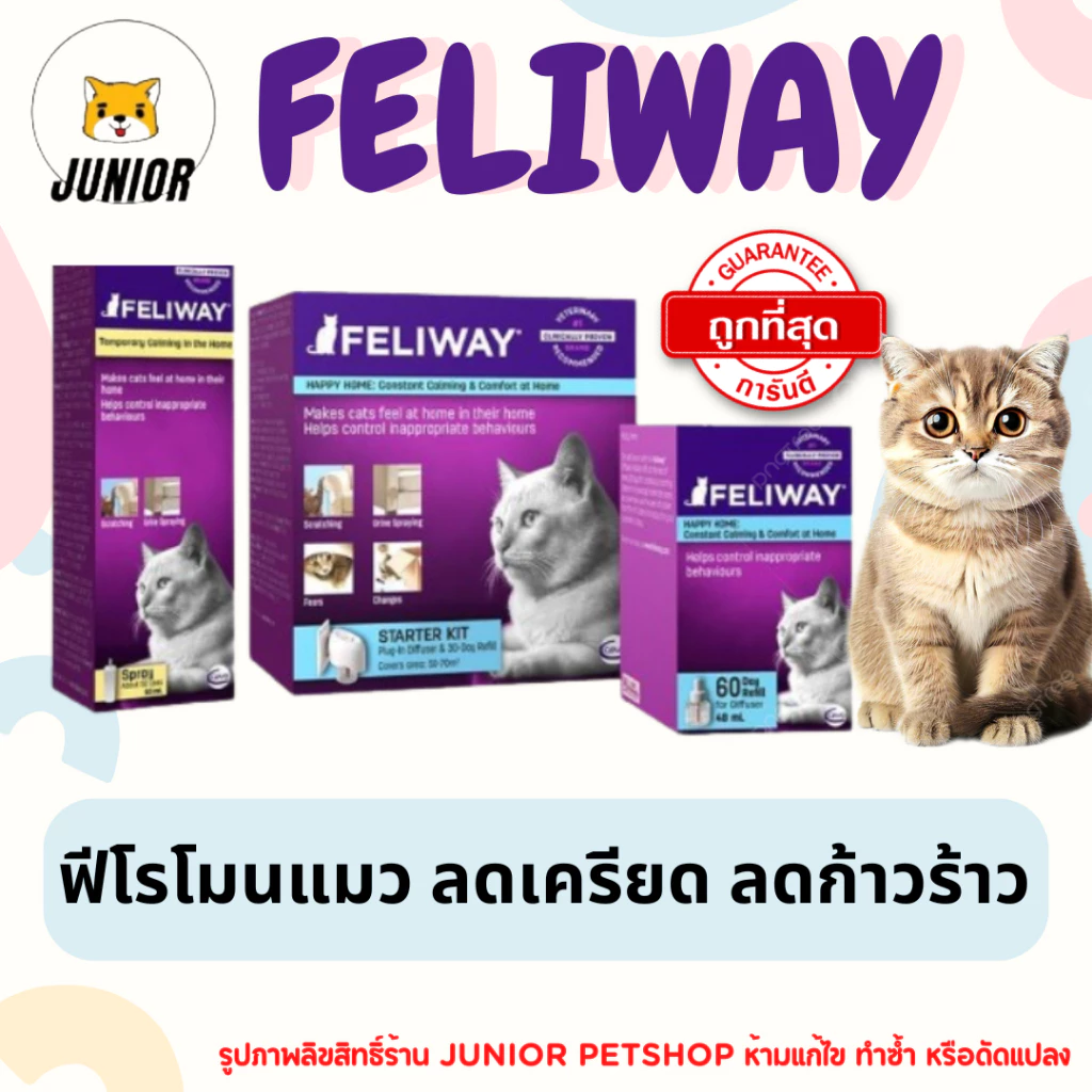 Feliway ฟิโรโมนแมว ช่วยให้น้องแมวคลายเครียด ผ่อนคลาย ลดก้าวร้าว มีความสุข มี3แบบให้เลือก