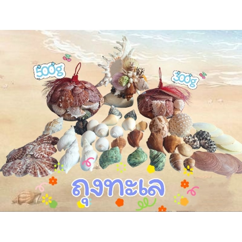 ถุงทะเล"รวมเปลือกหอยทุกชนิด