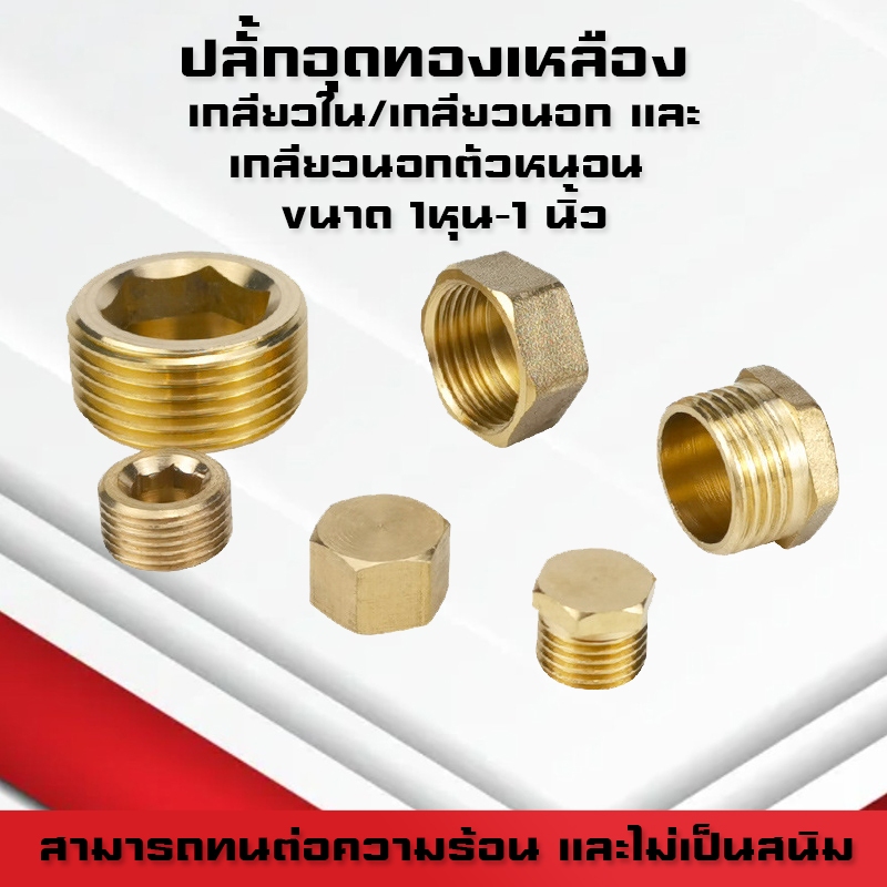 ปลั๊กอุดทองเหลือง แบบฝาปิดทองเหลือง เกลียวใน/เกลียวนอก/เกลียวนอกตัวหนอน ขนาด 1/8(1หุน) -1 นิ้ว