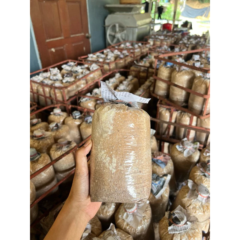 เชื้อเห็ดนางฟ้า 20 ก้อน พร้อมเปิด 🍄