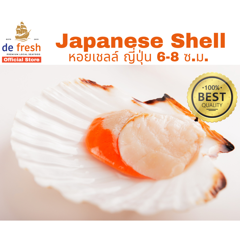 หอยเชลล์ญี่ปุ่น นำเข้า  ฝาเดียว ขนาด 6-8 ซ.ม 30-32ตัว /แพ็ค โฮตาเตะ#hotate #defresh #Shell
