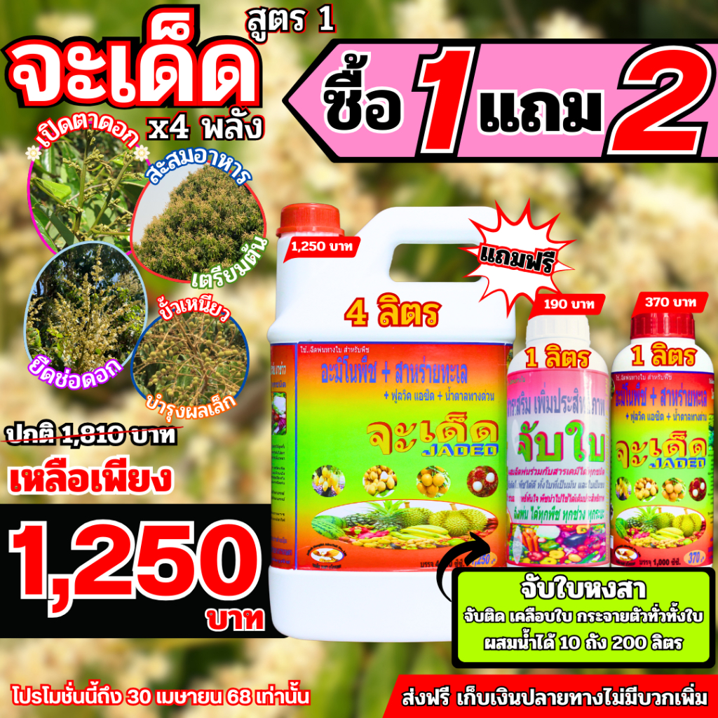 จะเด็ด “สูตร 4 พลัง”ไคโตซาน อะมิโน นํ้าตาลทางด่วน สาหร่ายทะเล เร่งราก อาหารพืช ปุ๋ย ฮอร์โมนพืช ฉีดพ่นทางใ