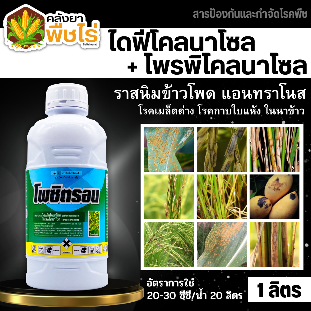 🌽 โพซิตรอน (ไดฟีโนโคนาโซล+โพรพิโคนาโซล) 1ลิตร ป้องกันเชื้อรา เมล็ดด่างในนาข้าว