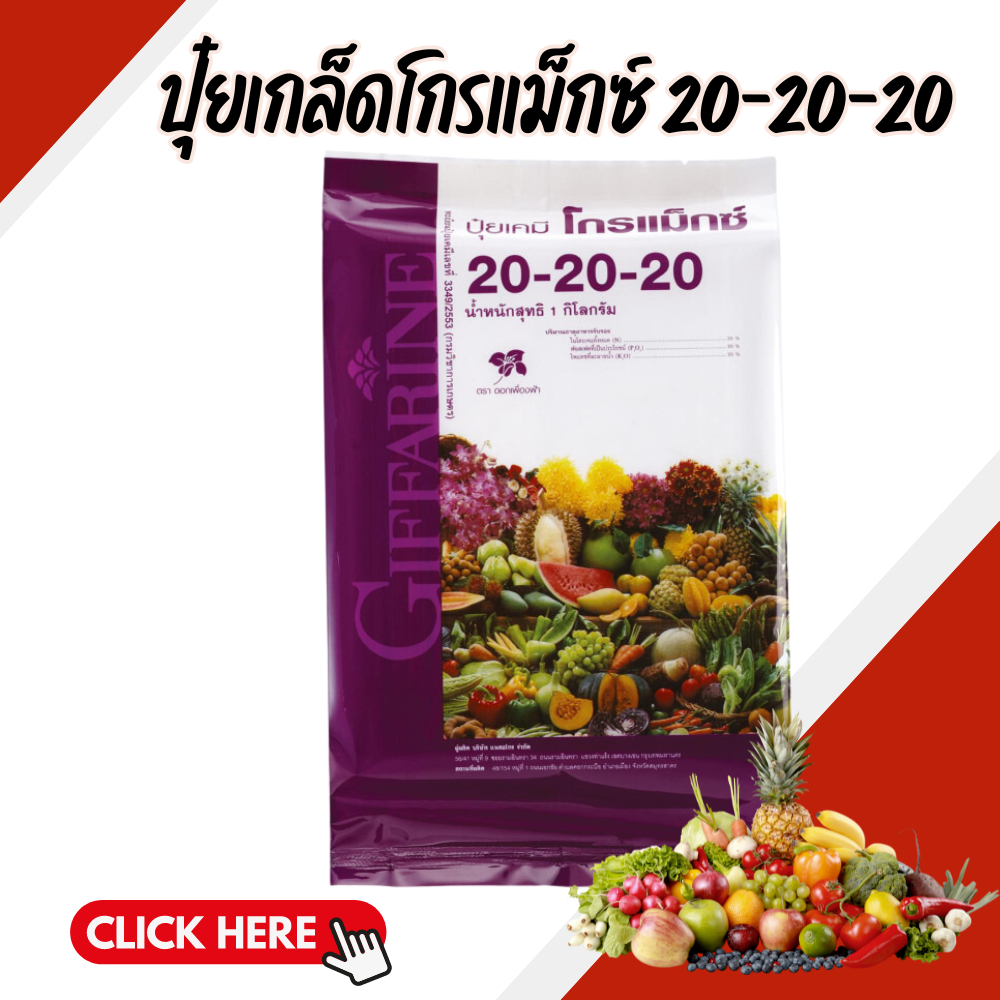 ปุ๋ยโกรแม็กซ์ สูตร 20-20-20 ปุ๋ย ปุ๋ยกิฟฟารีน