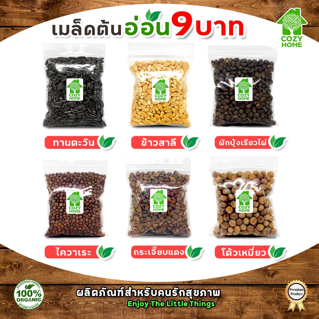 เมล็ดต้นอ่อน เมล็ดผักไมโครกรีน (ราคาส่ง 9.-) #microgreen #ทานตะวัน #โตเหมี่ยว #ไควาเระ #ผักบุ้ง