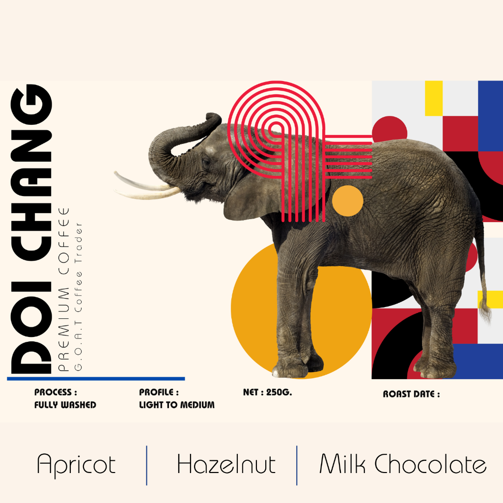 เมล็ดกาแฟคั่วกลางอ่อน ดอยช้าง - Light to medium - Goat coffee trader