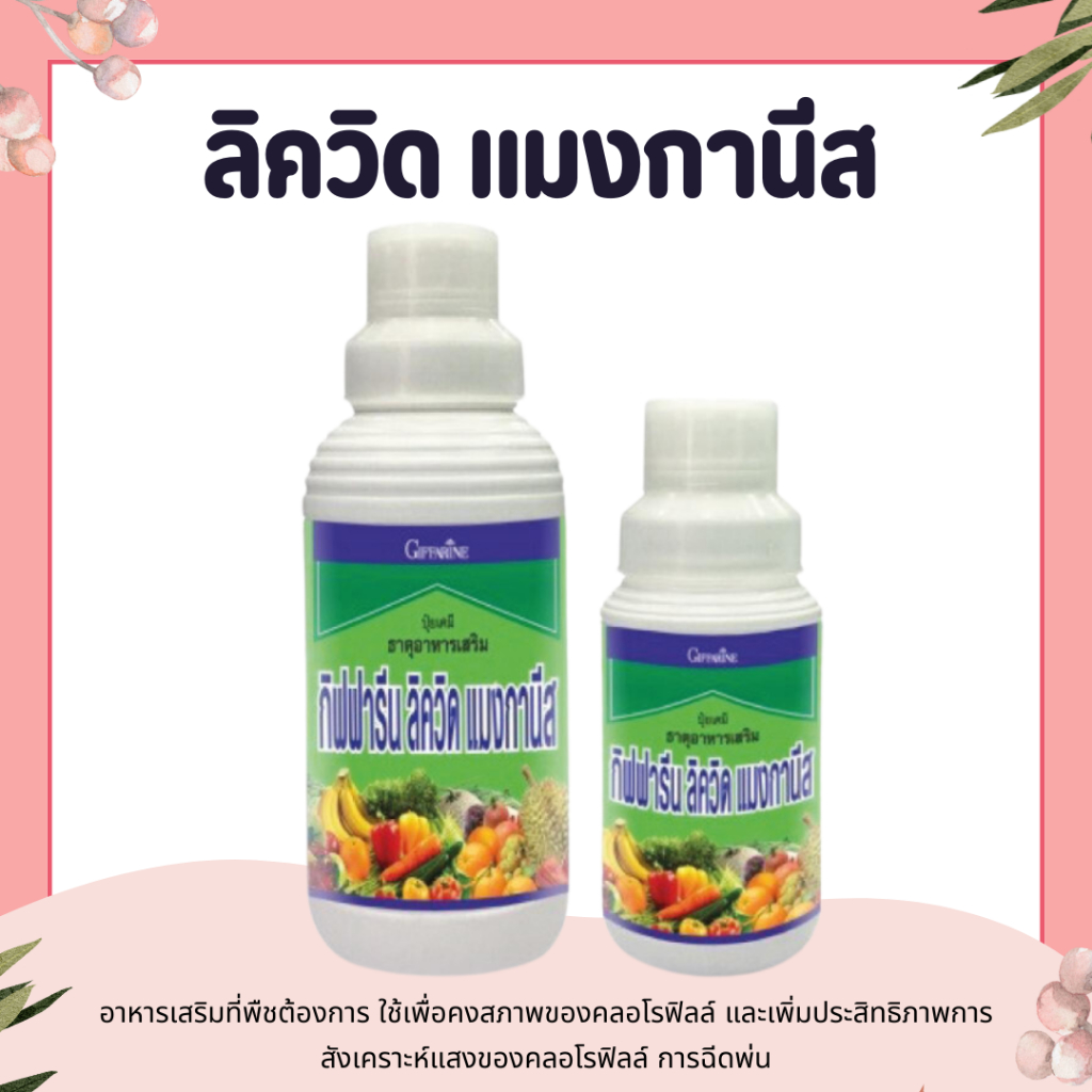 ลิควิด แมงกานีส ปุ๋ย ปุ๋ยกิฟฟารีน แมงกานีสคีเลท 6.2% giffarine แมงกานีสเป็นธาตุ อาหารเสริมที่พืชต้องการ