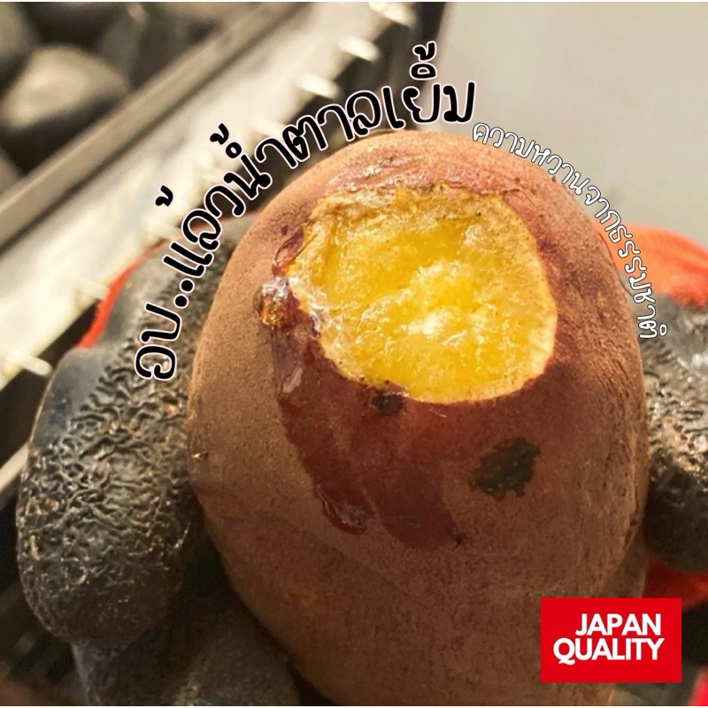 มันหวานญี่ปุ่นเบนิฮารุกะ คละไซส์ นำเข้าจากญี่ปุ่น