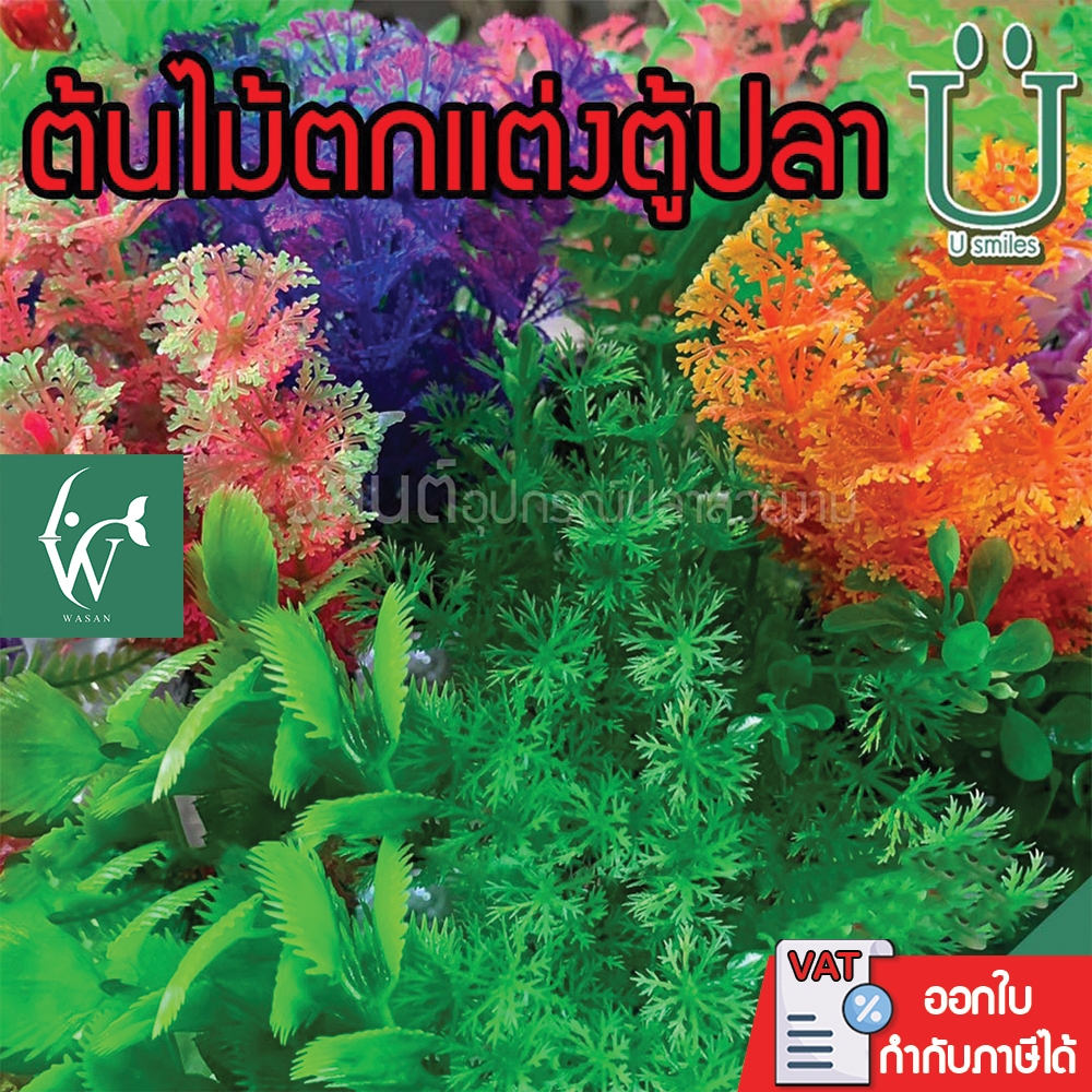 ต้นไม้ขนาดกลาง 20 บาท ไว้ตกแต่งตู้ปลา (ถูกที่สุด ดีที่สุด )(6)