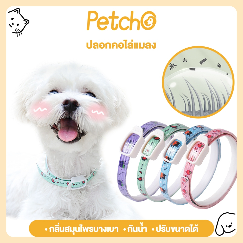 Petcho ปลอกคอกันเห็บ ปลอกคอกำจัดเห็บหมัด ปลอกคอสุนัข ปลอกคอแมว ปลอดภัย ทนนาน ปลอกคอสัตว์เลี้ยง anti flea & ticks