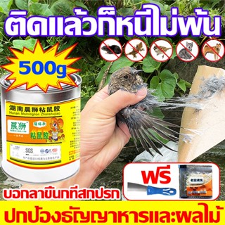 กาวดักนก สำเร็จรูป500g เหนียวทนแดดติดทนอเนกประสงค์ สามารถใช้…