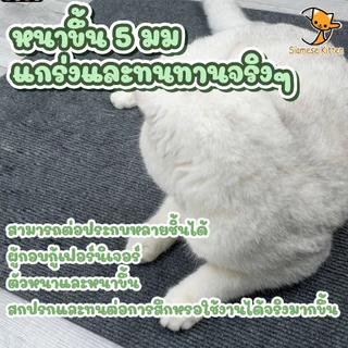 🐱พรมลับเล็บแมว ป้องกันรอยขีดข่วน มีกาวในตัว แผ่นลับเล็บแมว สำหรับรองเฟอร์นิเจอร์ ตัดตามที่คุณต้องการ สิ่งประดิษฐ์ตลกๆ🐱