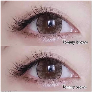 💋 มีค่าสายตา 💋Pitchy tommy Gray Brown 💋 บิ๊กอาย สุดปัง คอนแทคเลนส์ รายเดือน มีอย
