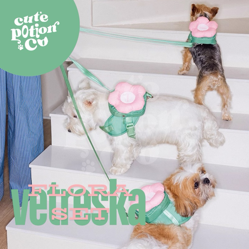 (PRE-ORDER) VETRESKA ปลอกคอสัตว์เลี้ยง หมา แมว Flora Pet Backpack & Harness 3 in 1 Set