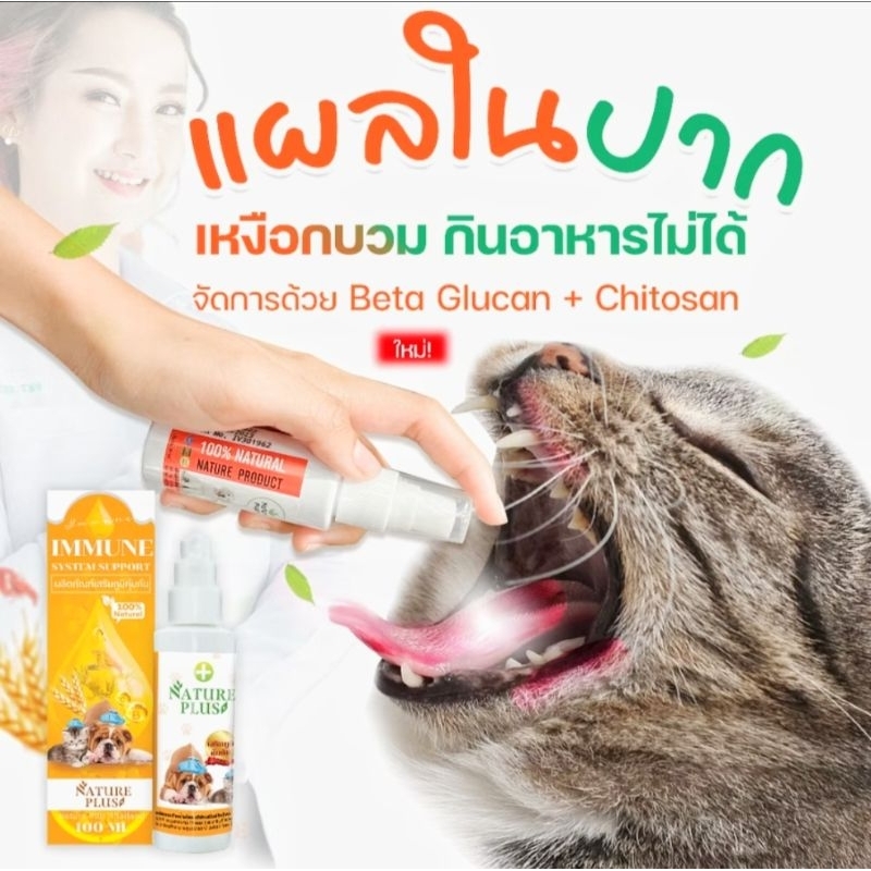 [พร้อมส่ง] ผลิตภัณฑ์เสริมภูมิคุ้มกัน NaturePlus สำหรับหมาแมวและสัตว์เลี้ยงอื่นๆ ช่องปากอักเสบ