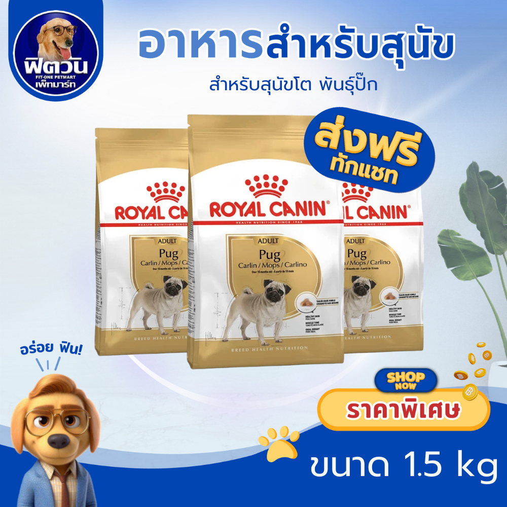 ROYAL CANIN Pug (ADULT) สุนัขอายุ 10 เดือนขึ้นไป พันธุ์ปั๊ 1.5 กิโลกรัม{อาหารสุนัขเม็ด}