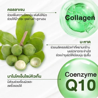 [6ชิ้น/12ชิ้น ]ปทุมมาศ ผงขัดหน้า15g. l ผงขัดหน้าสมุนไพร ทานาคา+มะหาด Facial Scrub Patummas