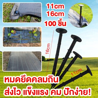 พลาสติกคลุมดิน ตะปูพื้นพิเศษ 11/16 นิ้ว 100 ชิ้น