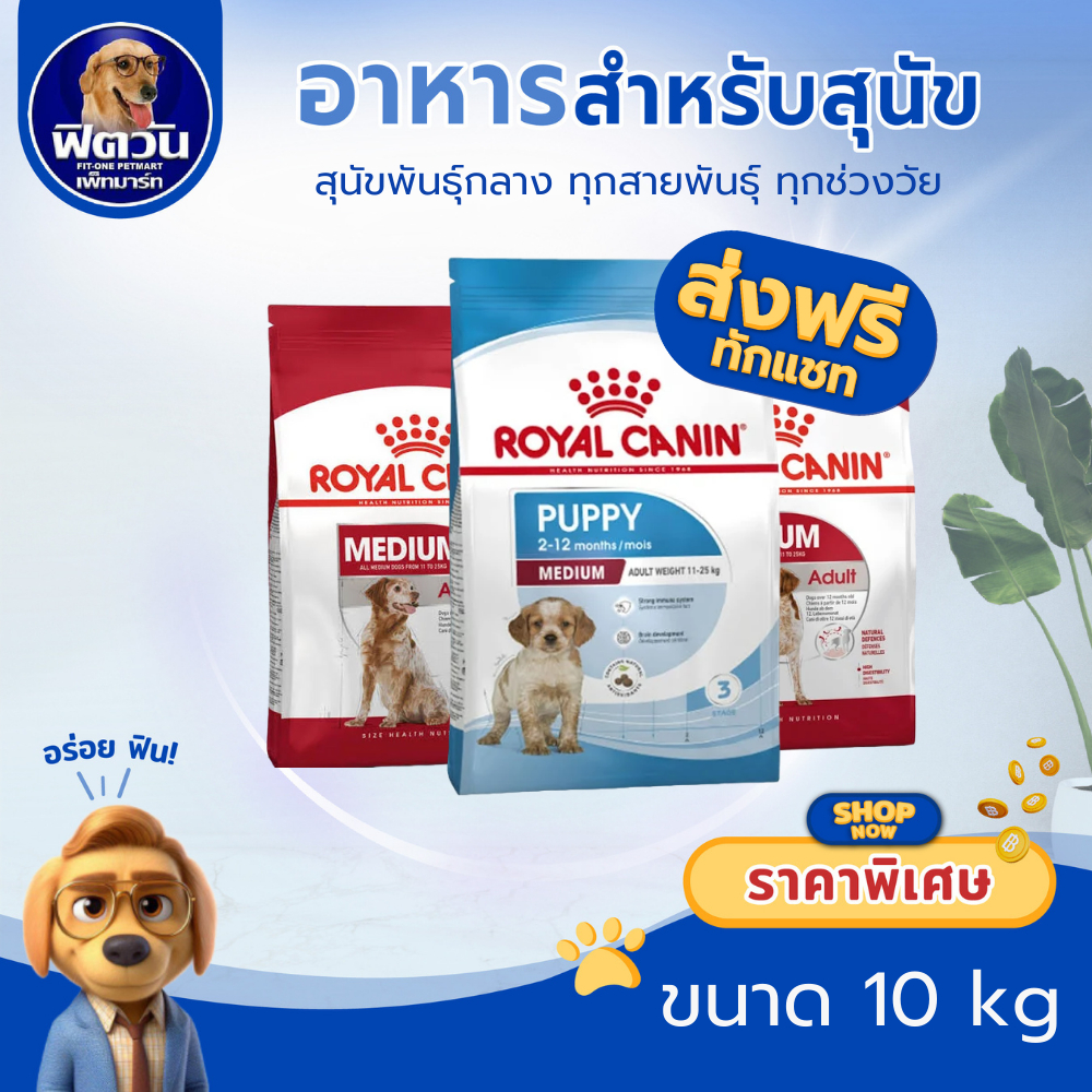 ROYAL CANIN ลูกสุนัข สุนัขอายุ1ปีขึ้นไป พันธ์กลาง พันธ์ใหญ่ (11 25 kg.) 10 กิโลกรัม{อาหารสุนัขเม็ด}