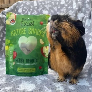 ขนมกระต่ายและสัตว์ฟันแทะพรีเมี่ยม 🇬🇧 Burgess Excel Herby Hearts & Fruit Feasts 60g | วัตถุดิบธรรมชาต