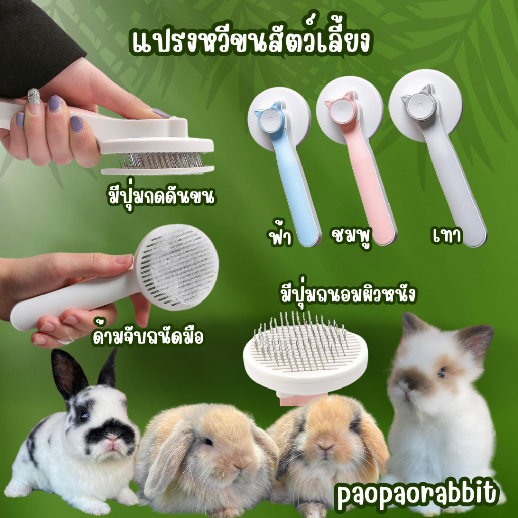 แปรงขนสัตว์ มีปุ่มดันขน