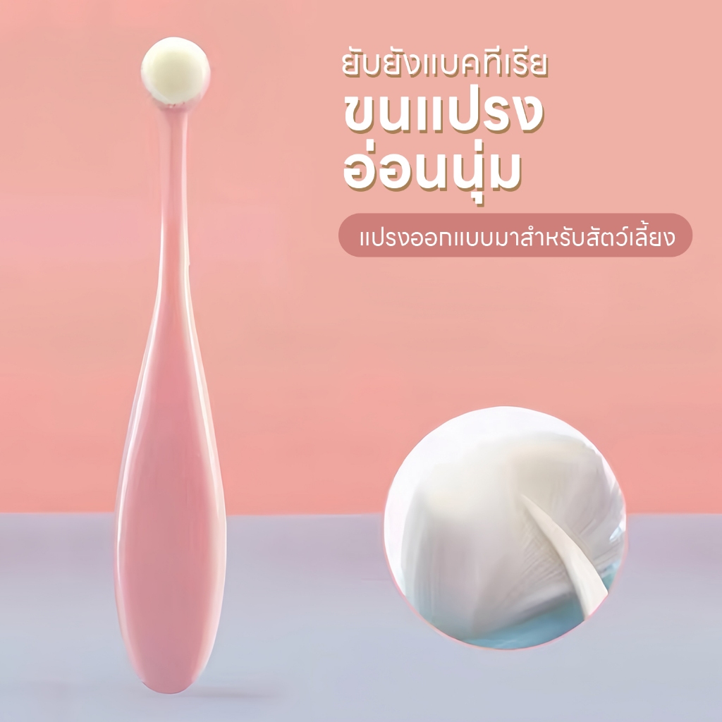 รูปภาพ 2